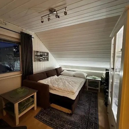 公寓 Cozy Loft With A View 特罗姆瑟